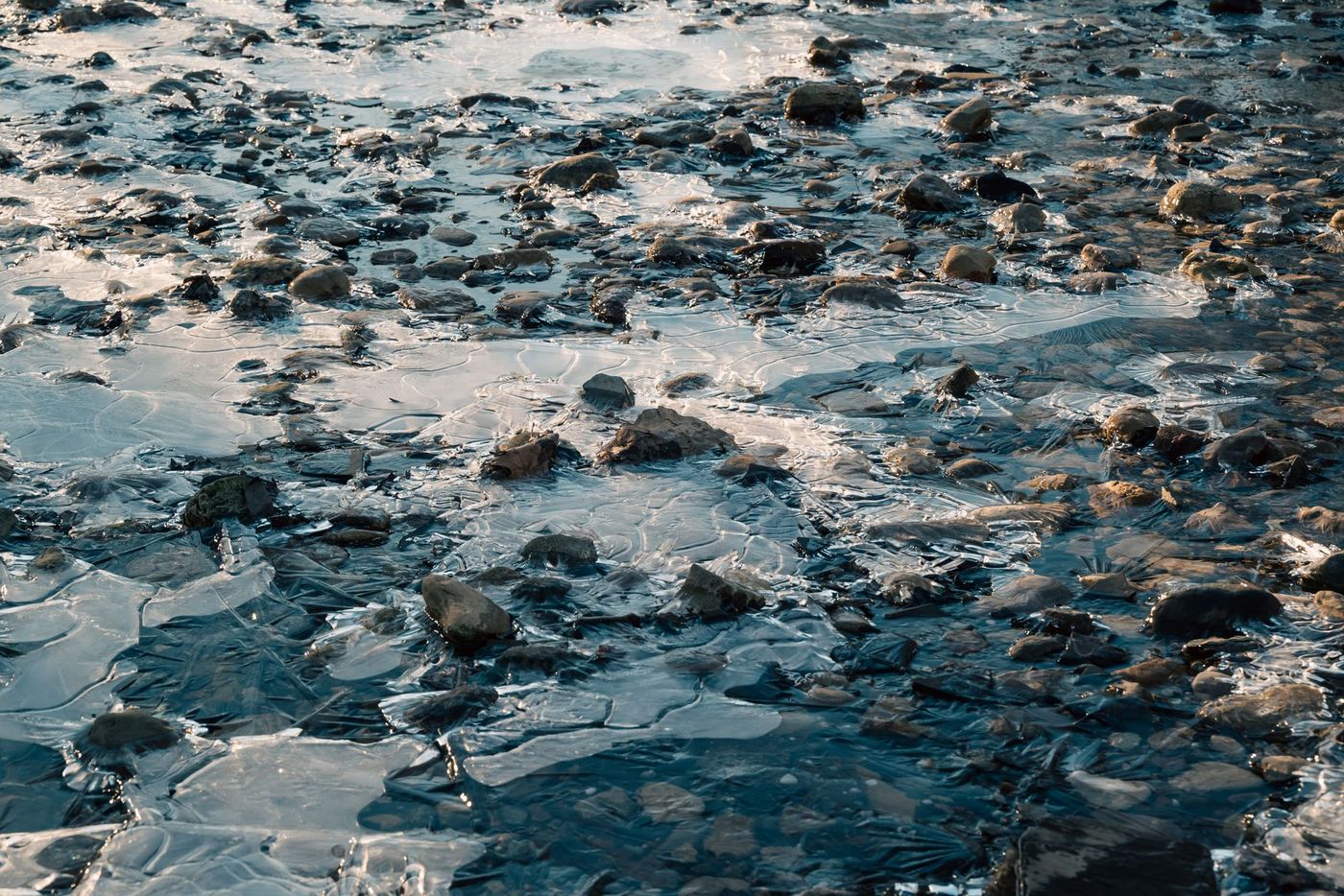 A close-up of a rocky stream or shoreline with sheets of ice forming on the surface of the water.
