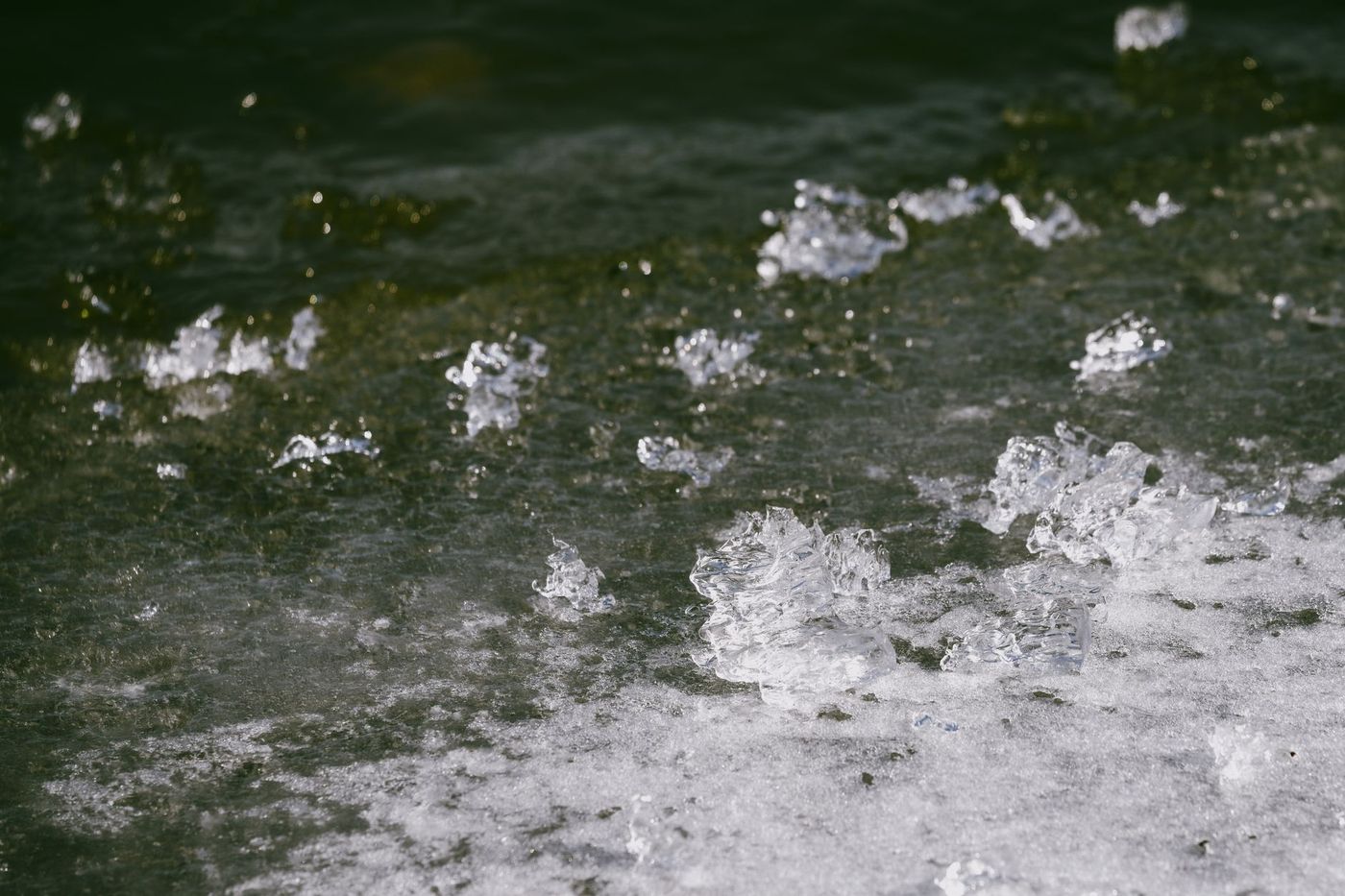 A close-up shot of ice chunks floating on dark, cold water.