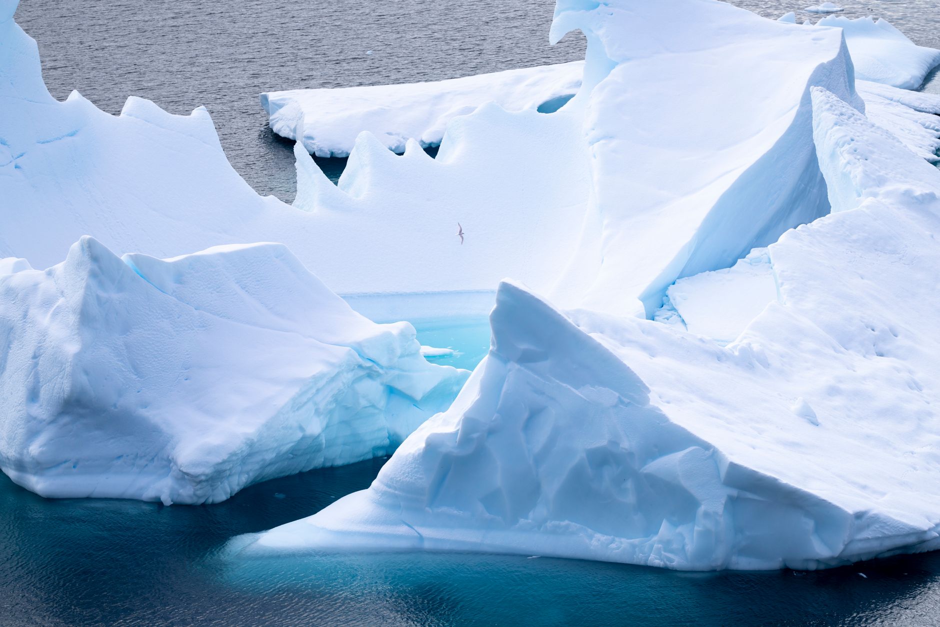 An aerial view of large icebergs floating in dark blue water in an arctic or antarctic setting.