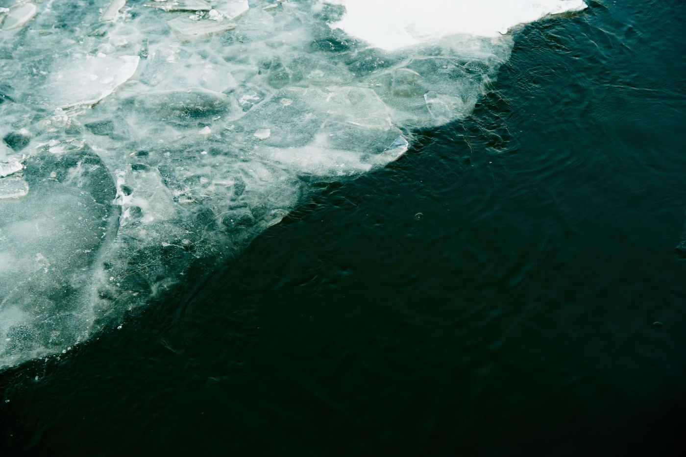 A close-up, top-down view of dark water next to a sheet of broken ice and snow.