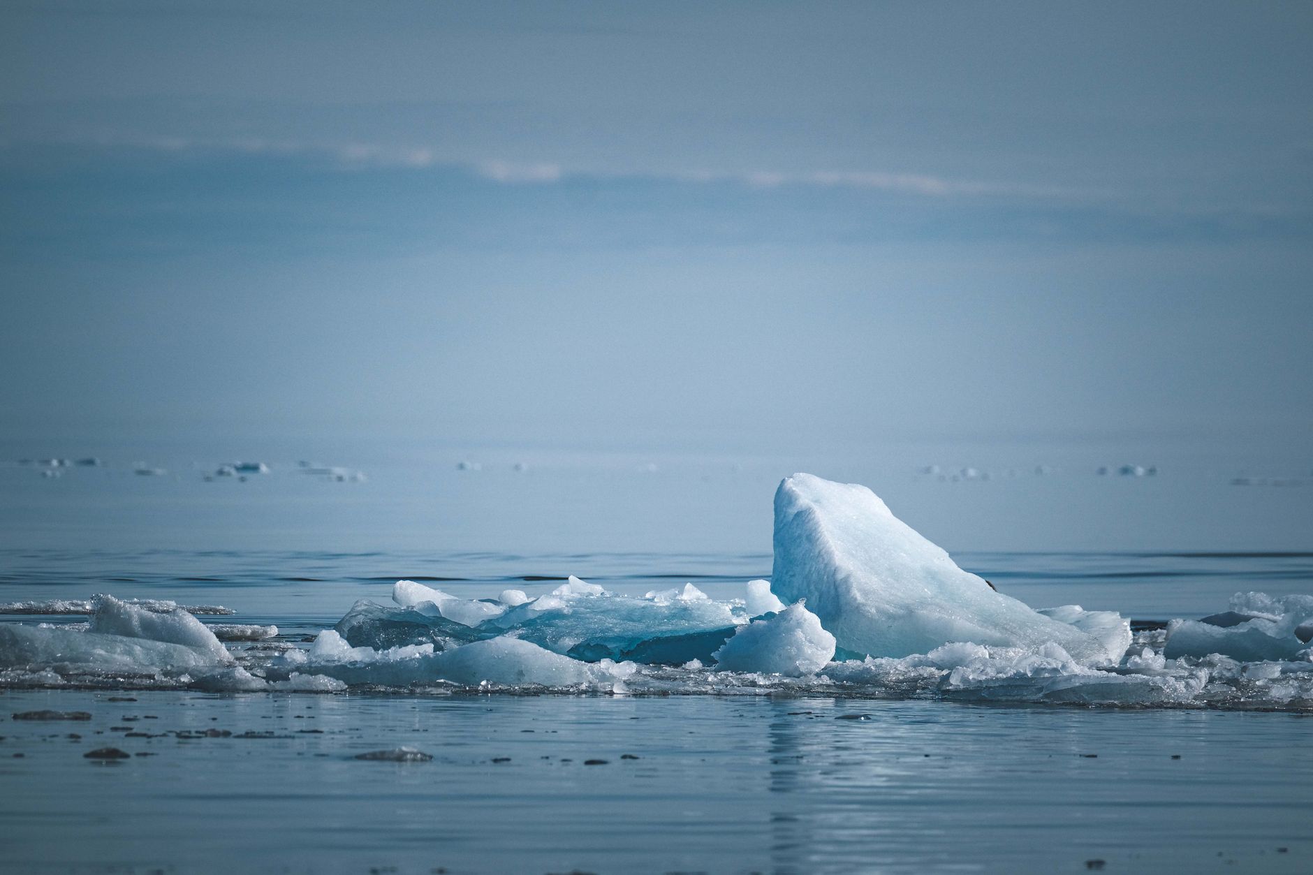 Chunks of ice floating in a large body of water, likely the ocean.