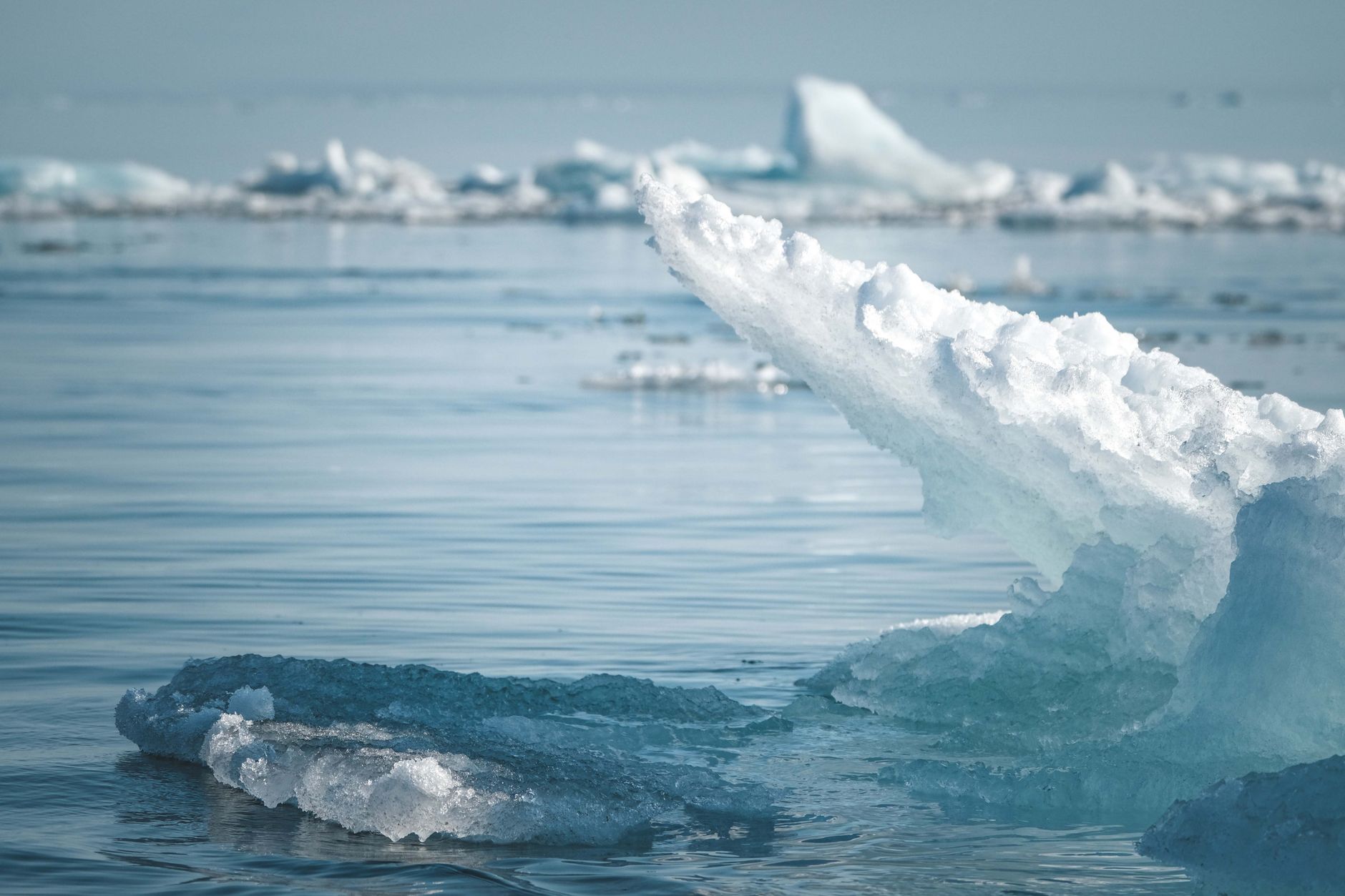 A close-up of ice chunks floating in cold, blue water, with more ice visible in the background.