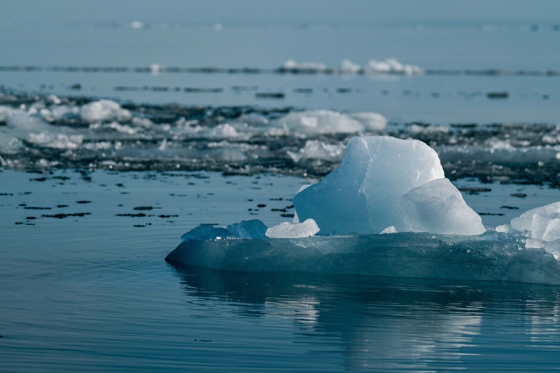 A large piece of ice floating in a body of water, with more ice in the background.