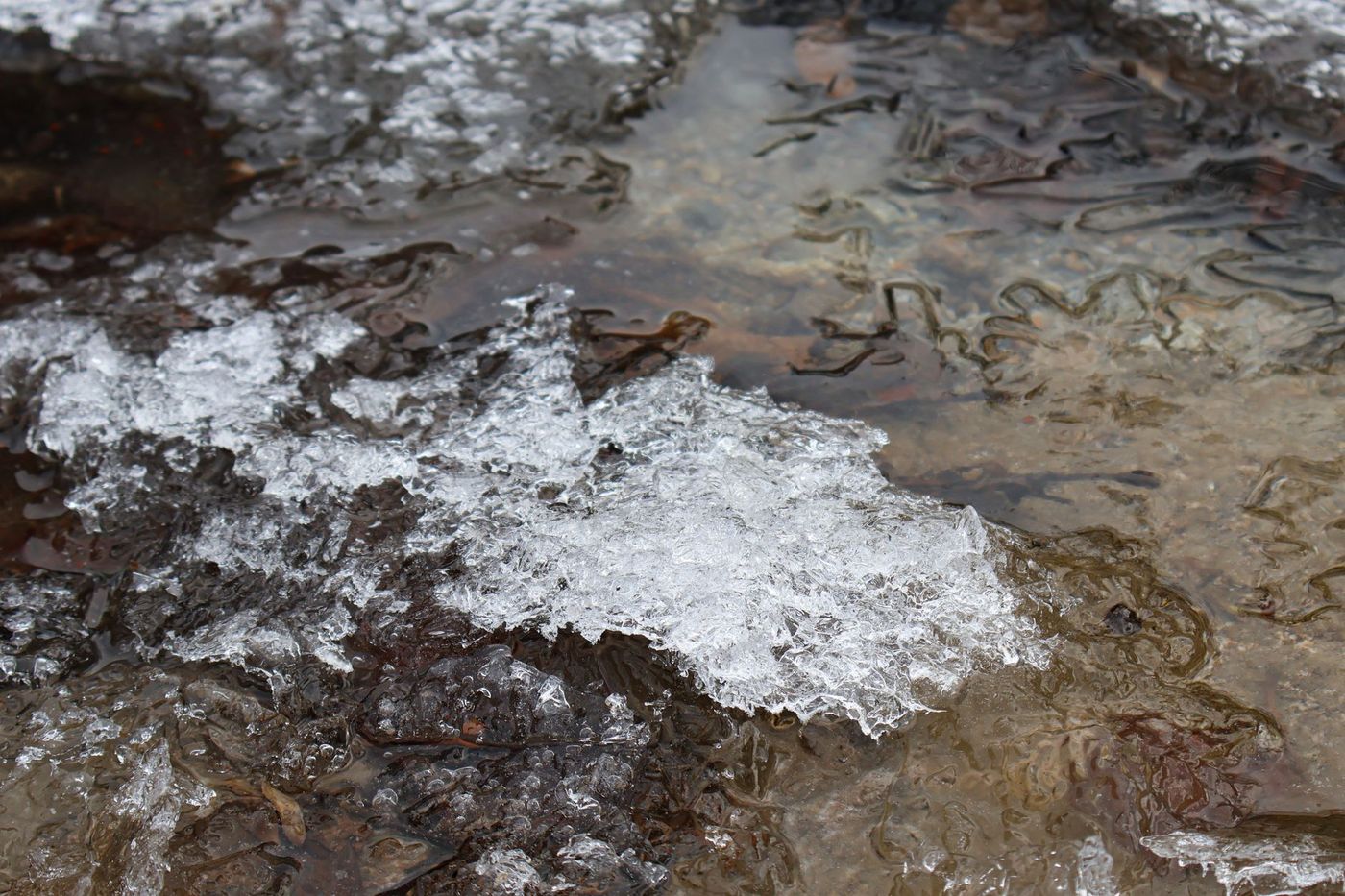 athlete cold plunge statistics 2026