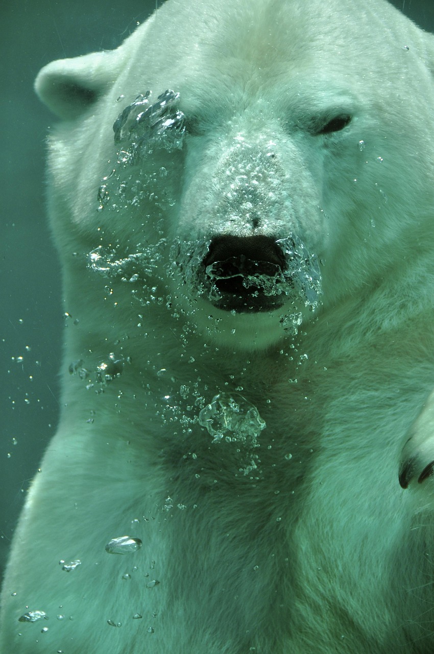 Can Cold Plunging Actually Help With Weight Loss and Brown Fat?