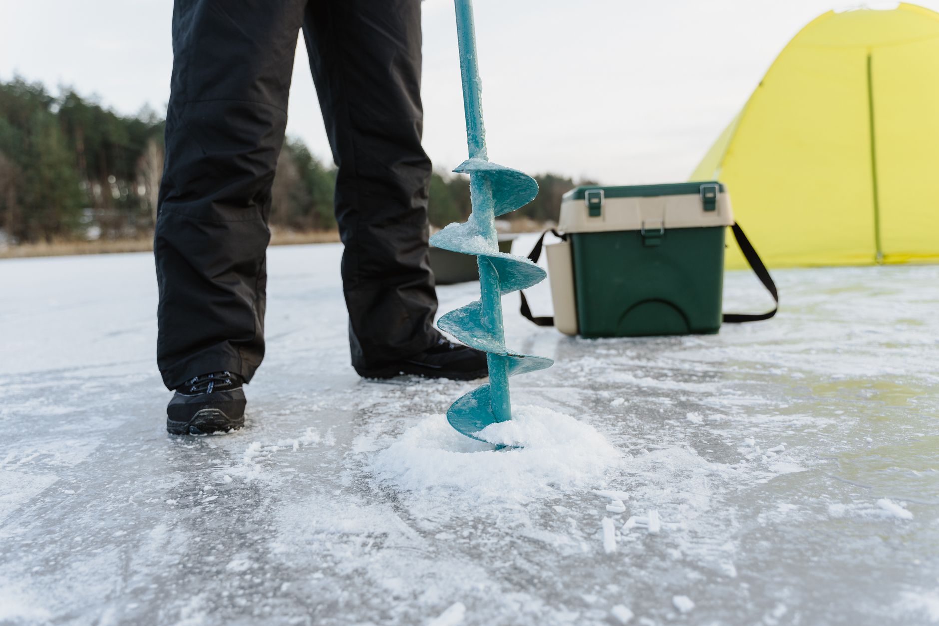 cold plunge industry statistics 2026