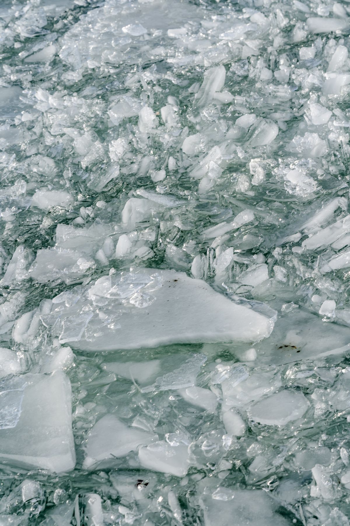 Cold Plunge Benefits for Mental Health, Anxiety and Mood