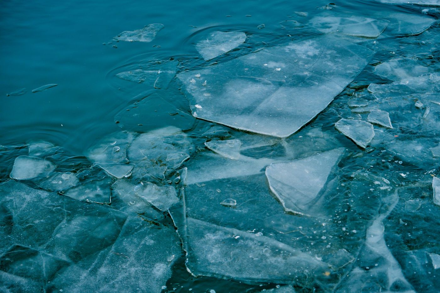 Best Cold Plunge Brands Compared 2026: Build Quality, Warranty, Value